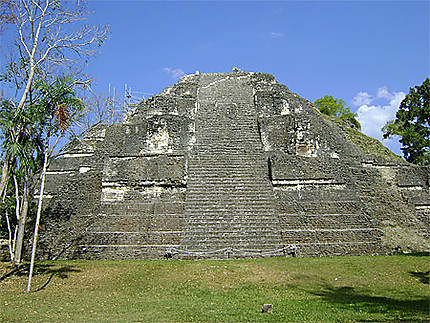 Temple-pyramide de Tikal