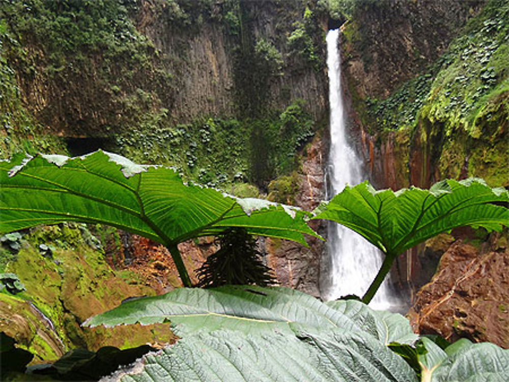 Catarata del Toro