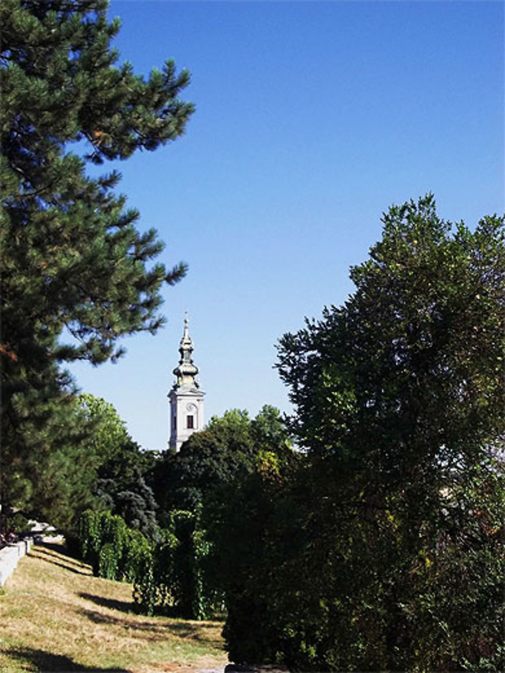 Vue lointaine de la cathédrale