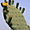 Cactus à Taroudant