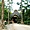 Photo hôtel Bardia Wildlife Resort