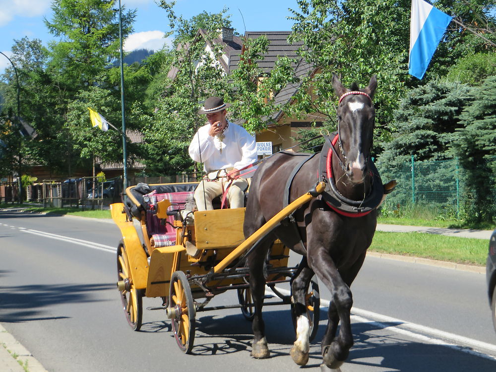 Balade en calèche à Zakopane