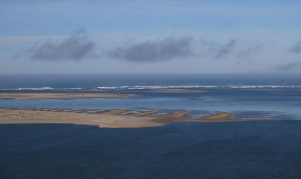 Matin d'hiver sur le banc d'Arguin