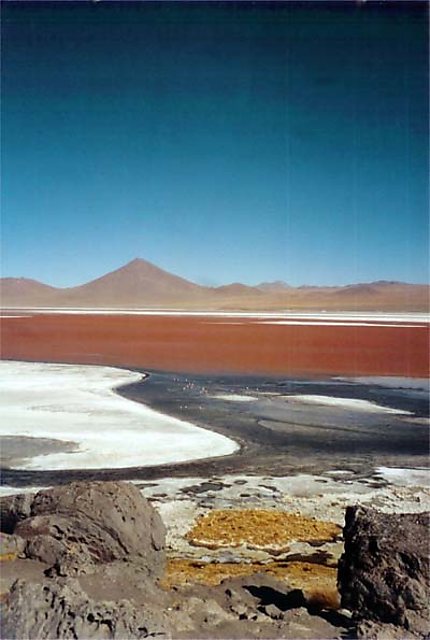 Laguna colorada