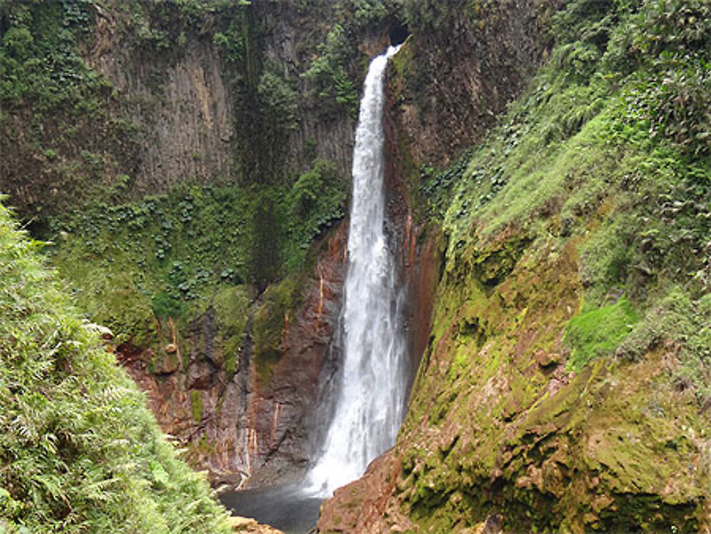 Catarata del Toro