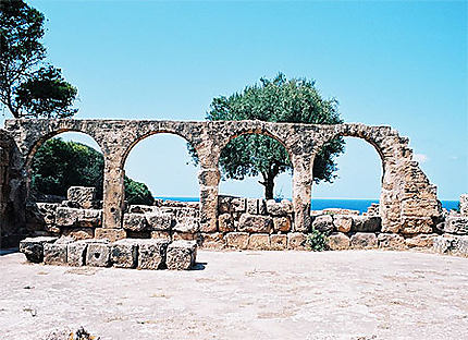 Ruine d'une basilique à Tipaza