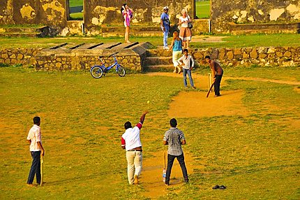 Cricket près des remparts