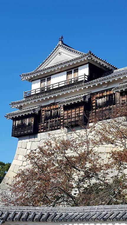 Château de Matsuyama 