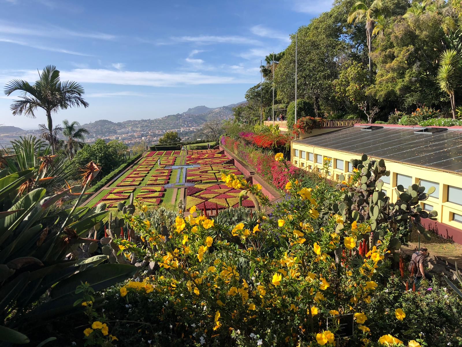 Jardin botanique à Funchal 
