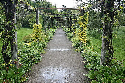 Chemin du jardin de Florence Court