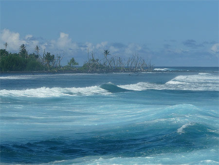 Belle vagues pour le surf