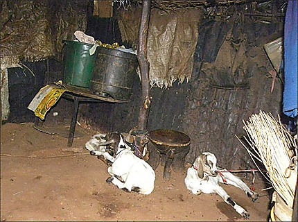 Samburu - Intérieur de hutte