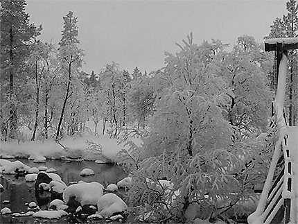 Nature en noir et blanc