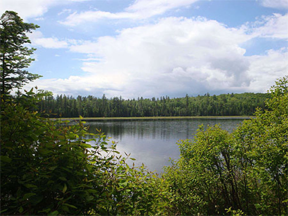 Algonquin Park - &quot;Mizzi Lake&quot; trail