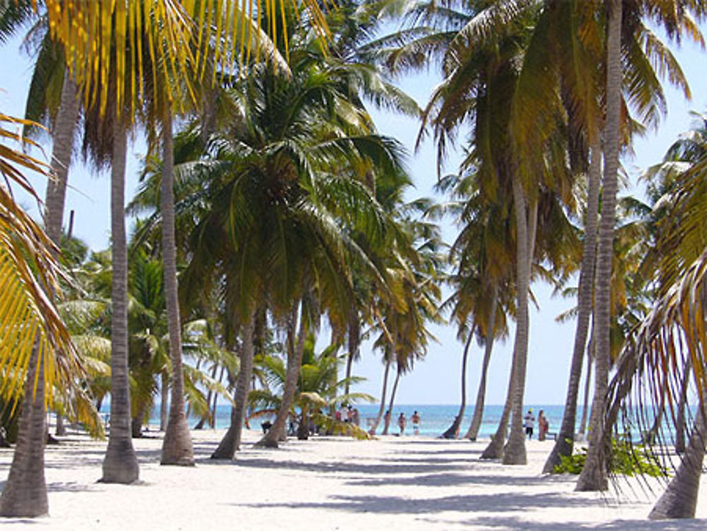 Plage du Docteur Île de Saona