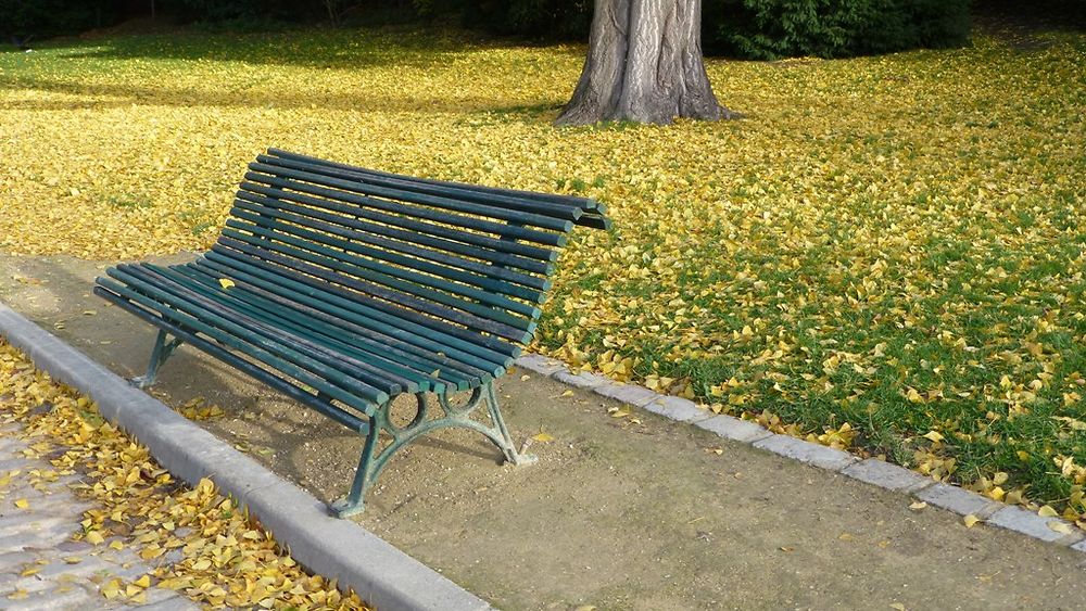 Le banc Parc Montsouris 