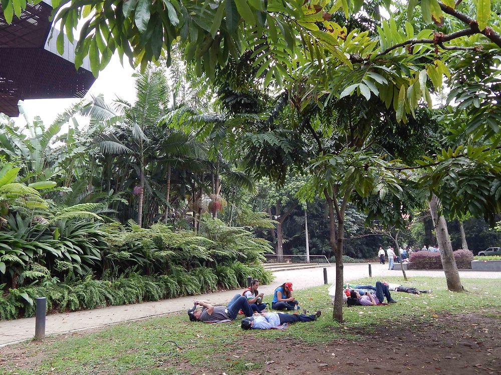 Jardin Botanique de Medellin