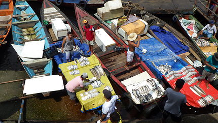 Pêcheurs de Manaus