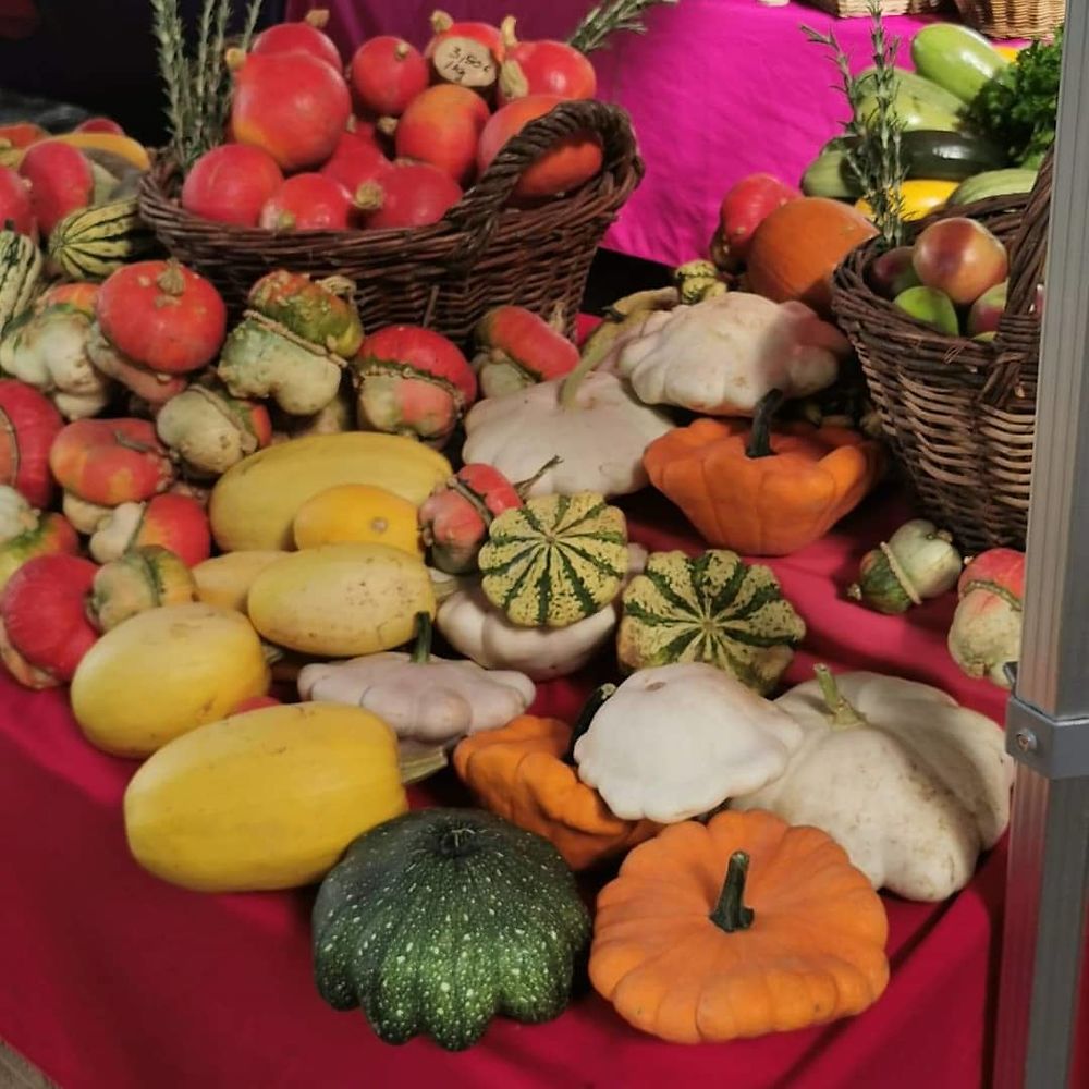 Marché bio de Lons le Saunier