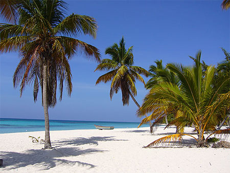 Plage du Docteur Île de Saona Plage du Docteur Île de Saona