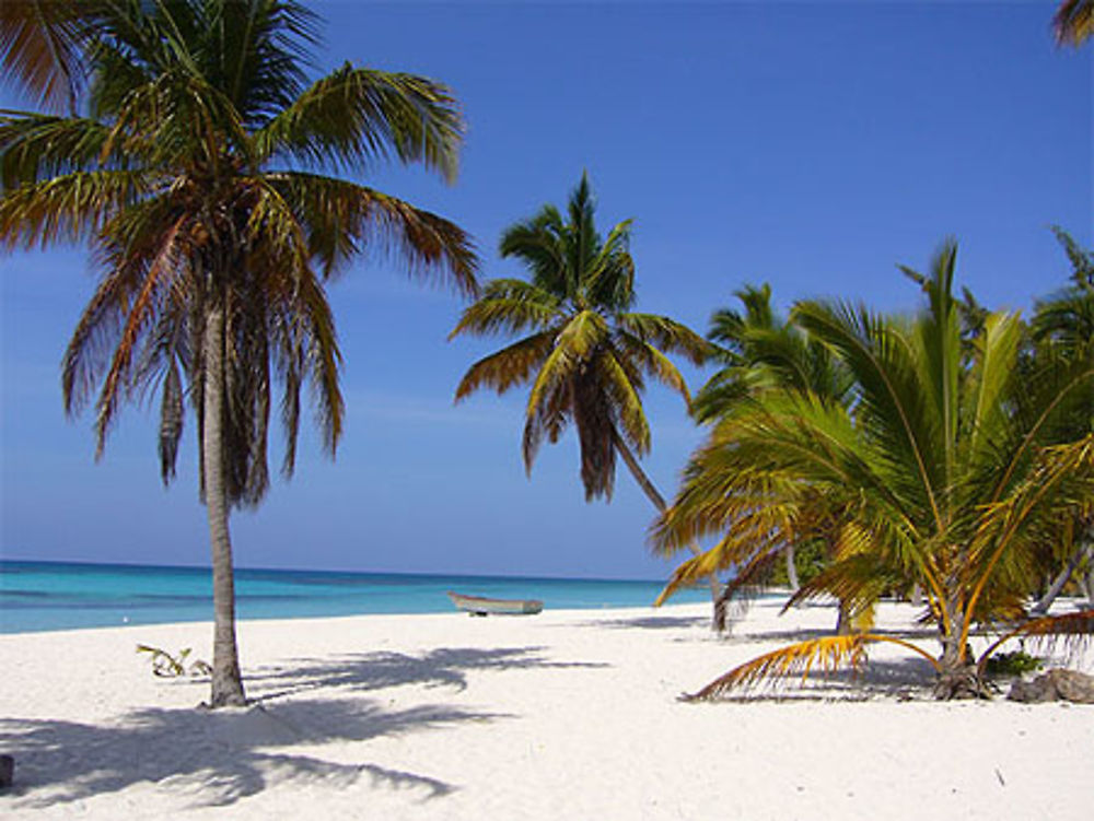 Plage du Docteur Île de Saona