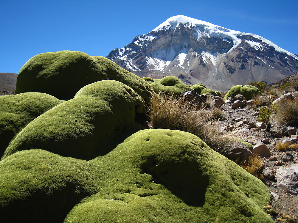 El Nevado Sajama