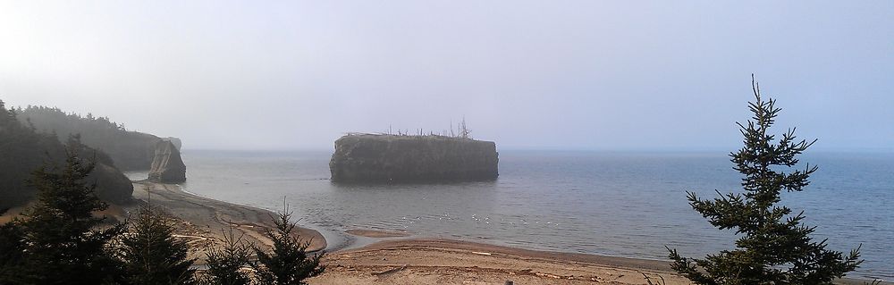 L'île aux oiseaux