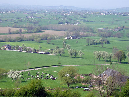 Bocage Bocage