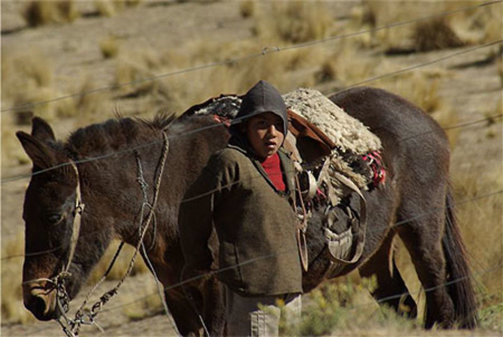 Aspirant Gaucho