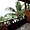 Photo hôtel Puri Wirata Dive Resort and Spa Amed