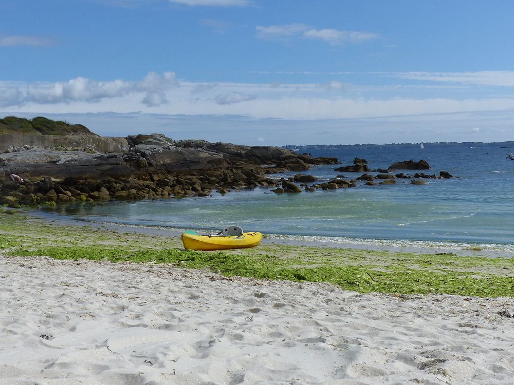 Plage au sable pailleté d argent 