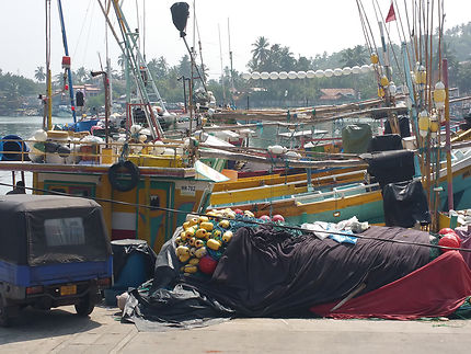 Port de Negombo