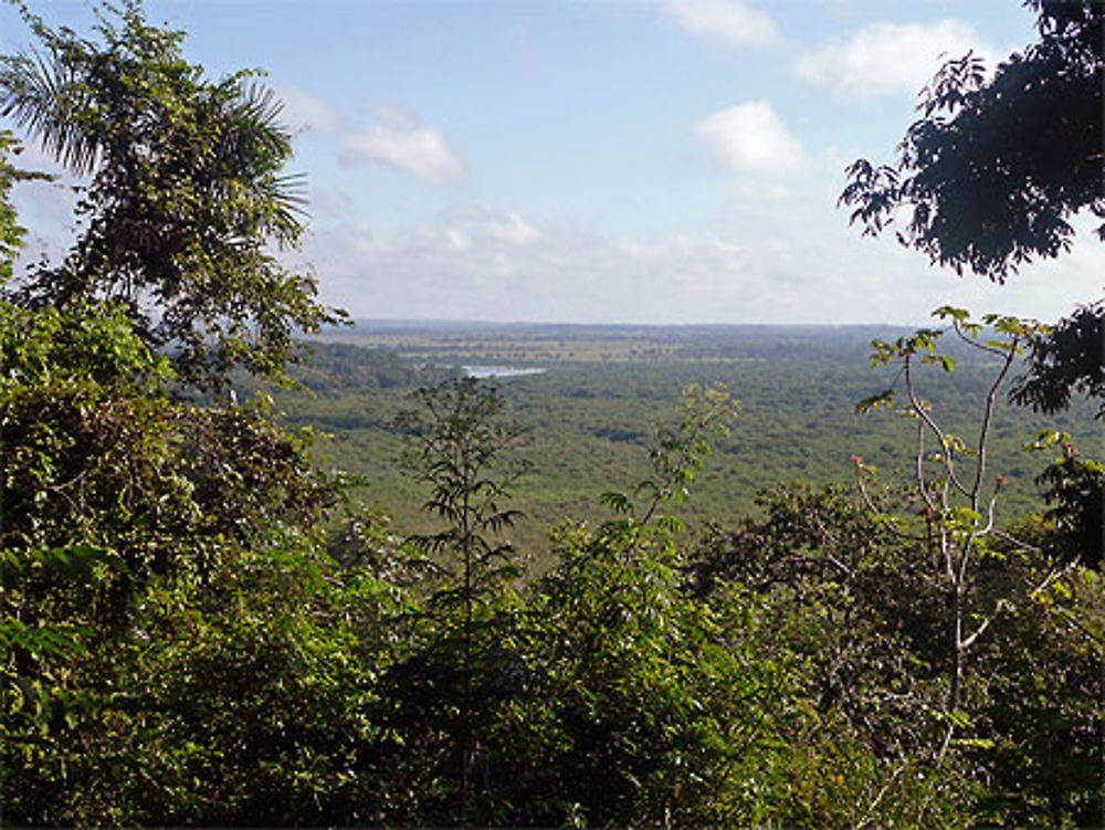 Vue du haut de la falaise