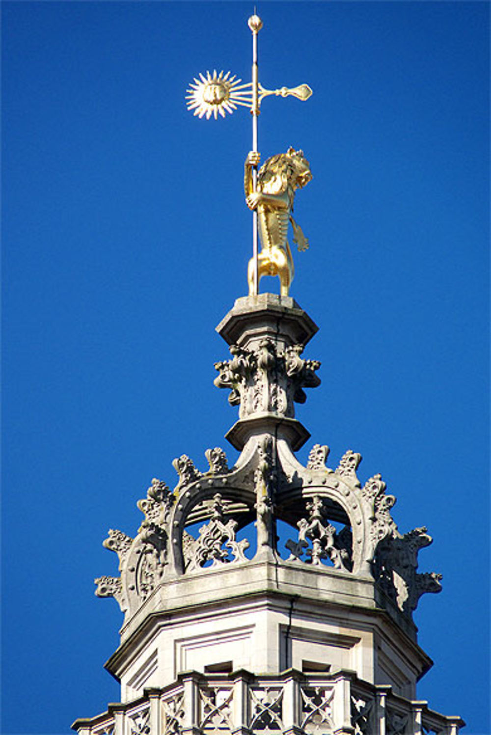 Le lion des Flandres, beffroi, hôtel de ville