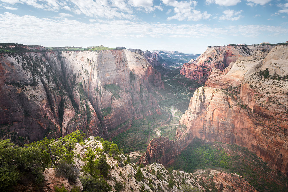 Observation Point