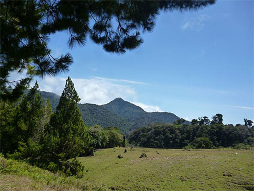 Parc volcan Baru