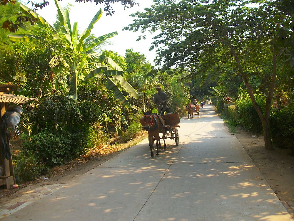 Sur l'île de Koh Paen (face à Kompong Cham)