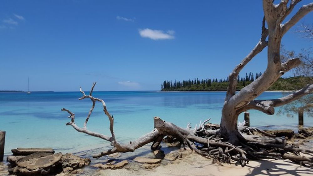 Splendeur de nouvelle caledonie