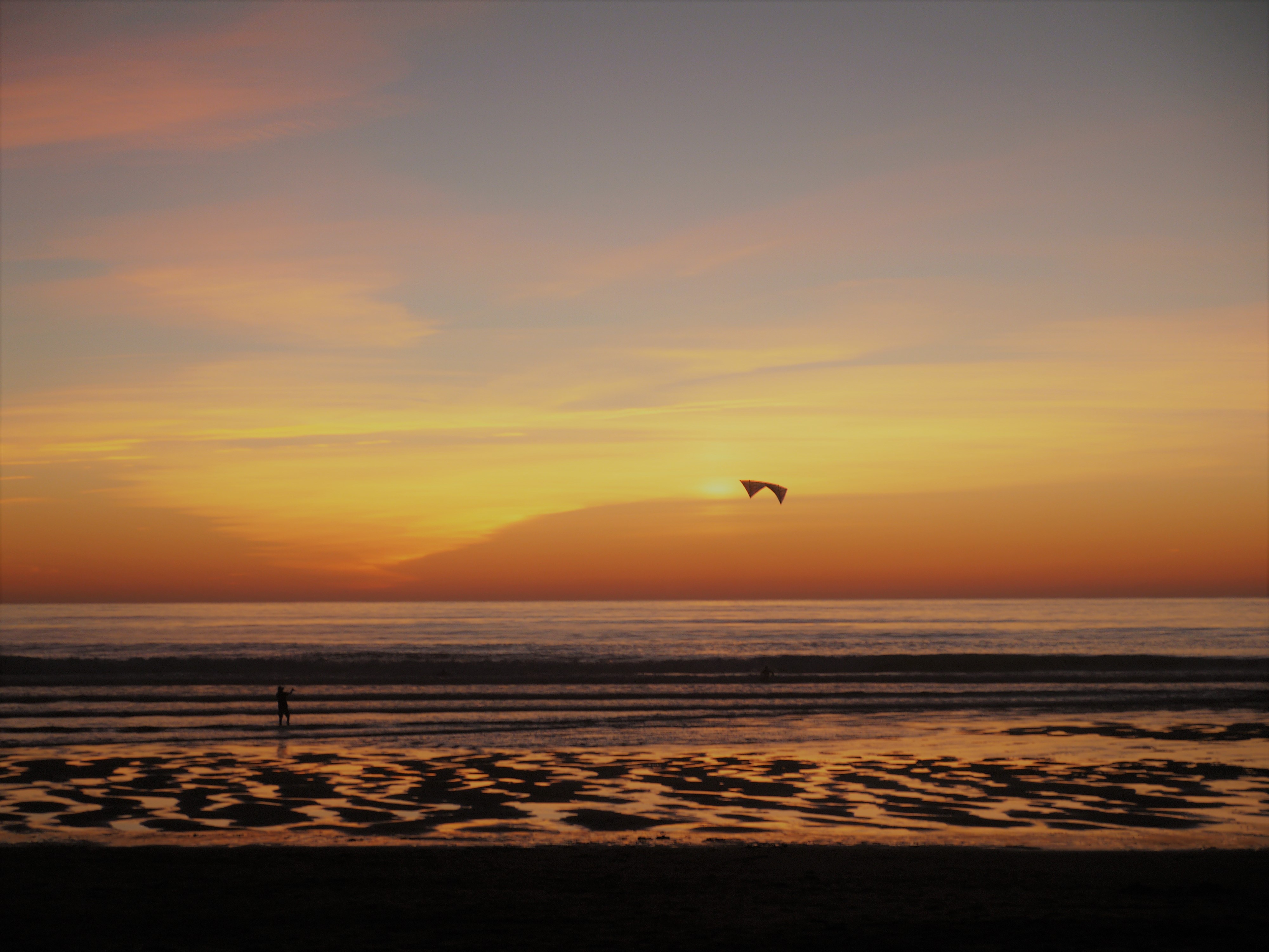 Cerf-volant sur la plage Cerf-volant sur la plage