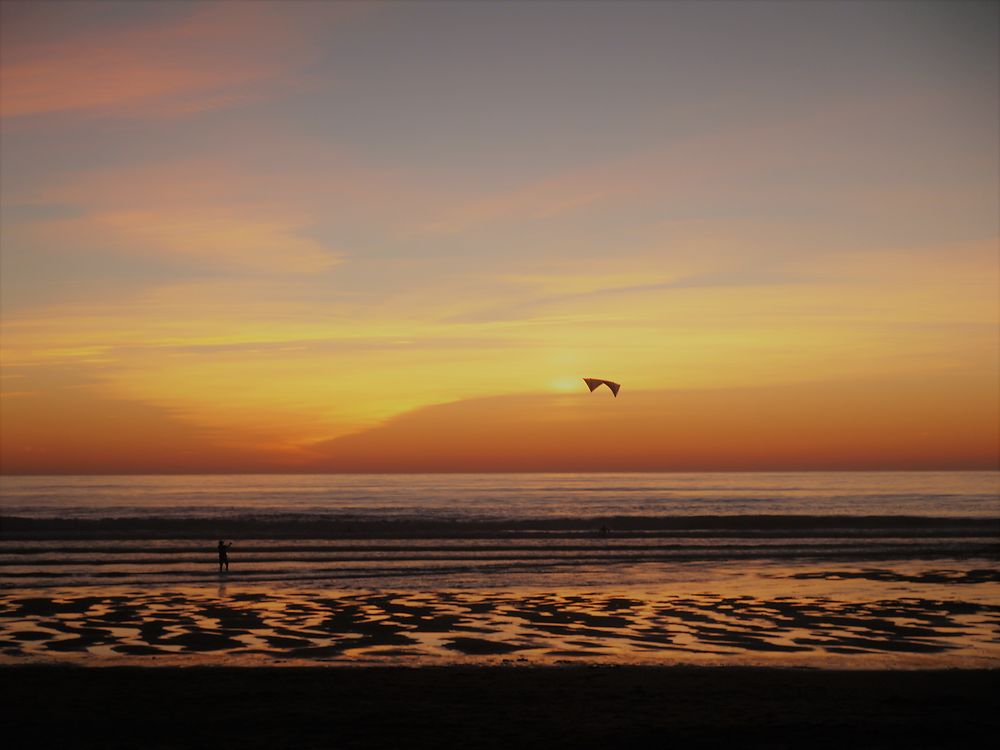 Cerf-volant sur la plage 