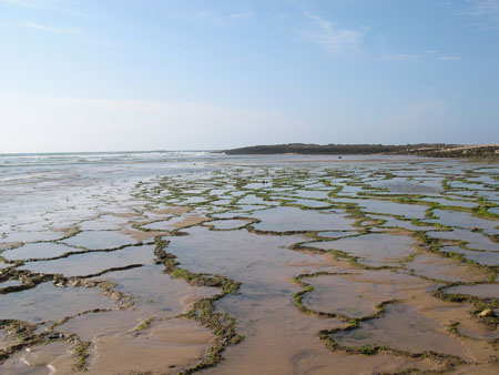 Là où la mer rencontre le fleuve Là où la mer rencontre le fleuve