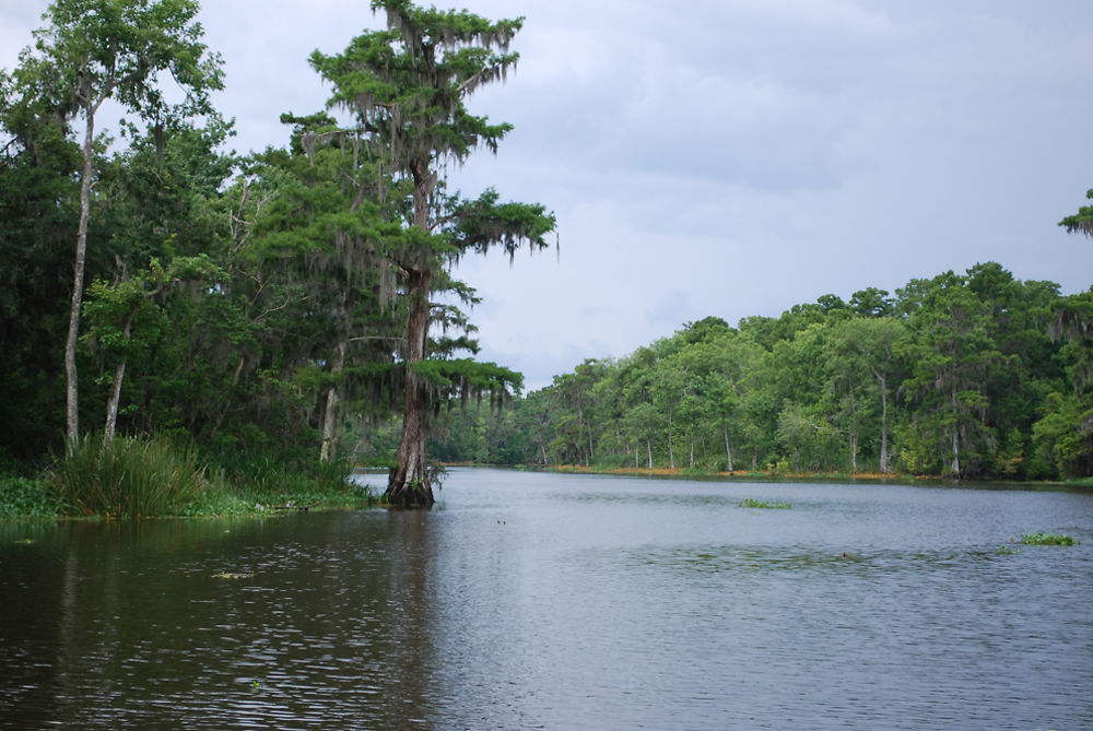 Bayou de Thibodaux