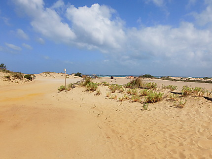 Les dunes de Piscinas