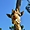 Girafe au zoo de la Palmyre