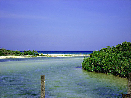Lagune à Sian ka'an