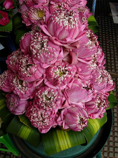Bouquet de fleurs de lotus