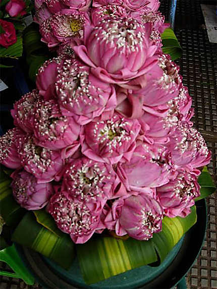 Bouquet de fleurs de lotus