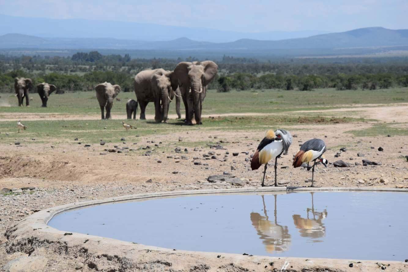 guide du routard safari kenya