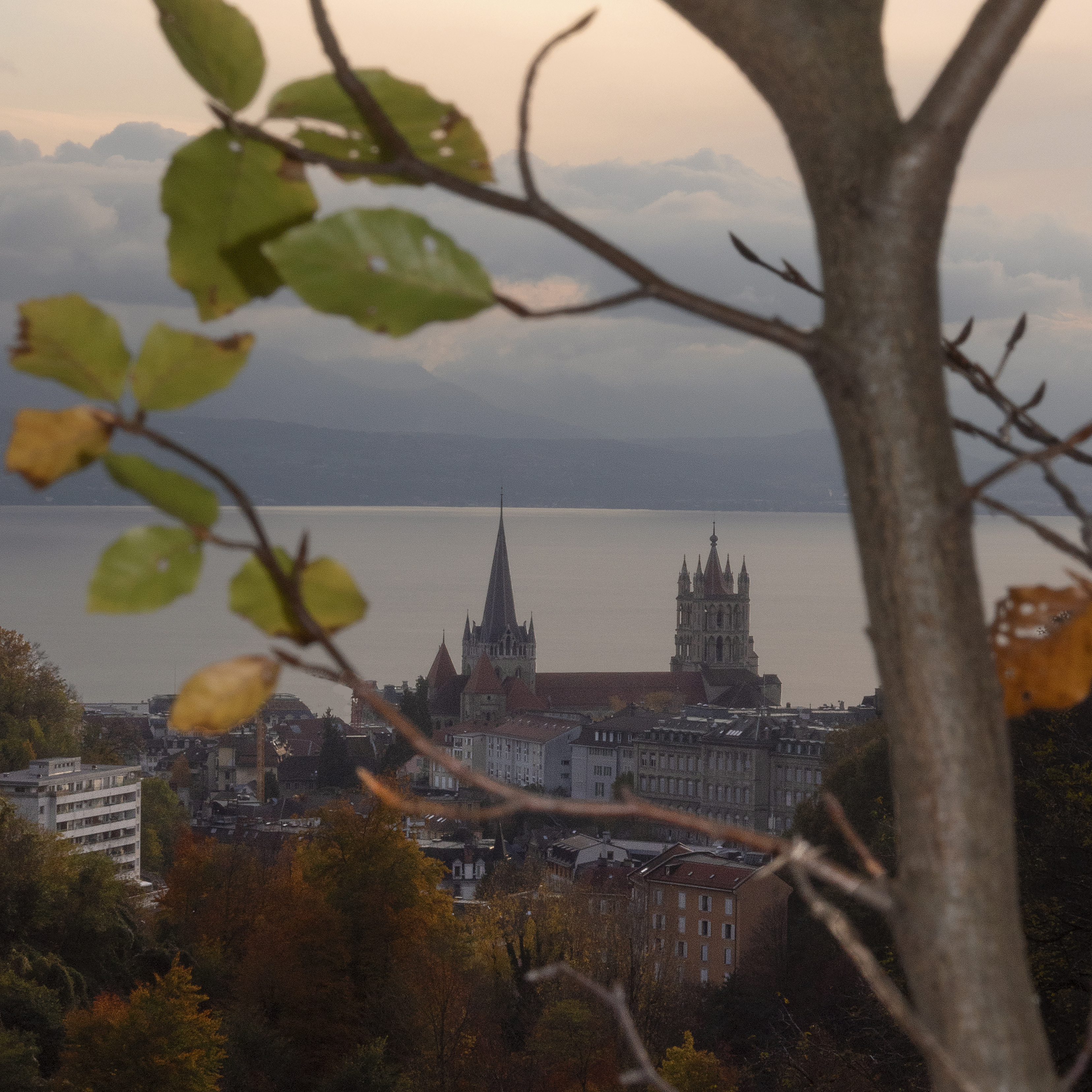 Lausanne en automne Lausanne en automne
