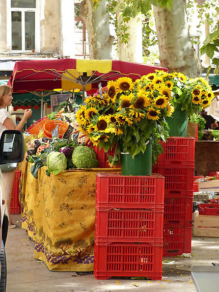 Fleurs du marché à Aix-en-Provence